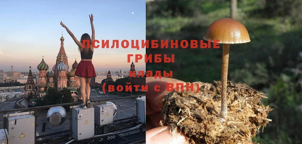 бошки Алексеевка
